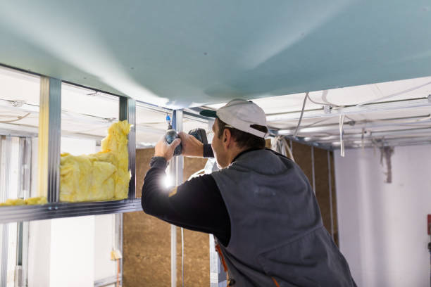 Insulation Inspection Services in Great Falls, SC