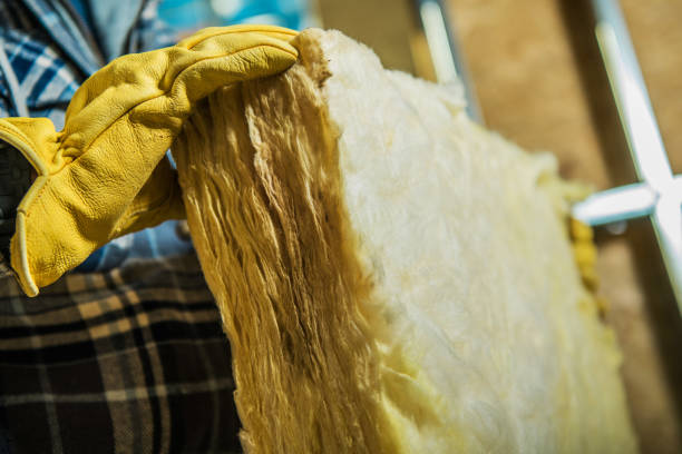 Best Insulation for New Construction  in Great Falls, SC