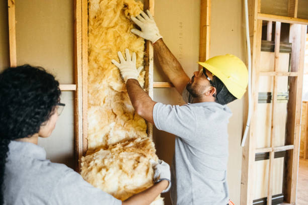 Best Commercial Insulation Contractor  in Great Falls, SC