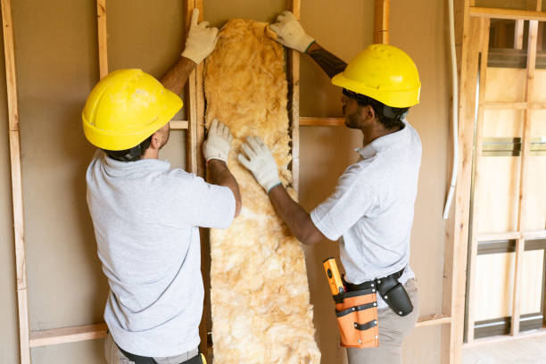Best Insulation Inspection Services  in Great Falls, SC