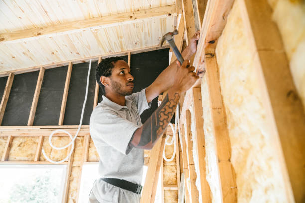 Best Cellulose Insulation  in Great Falls, SC